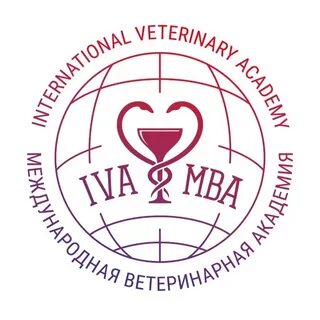 Ивц мва
