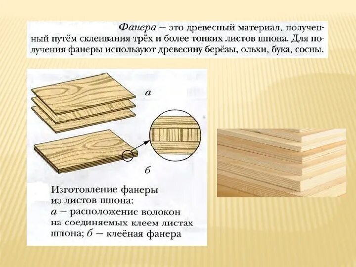 Схема получения строганного шпона. Строение фанеры. Фанера древесные материалы. Древесина и древесные материалы. Отличие материалов от основных