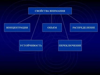 Определите качество внимания