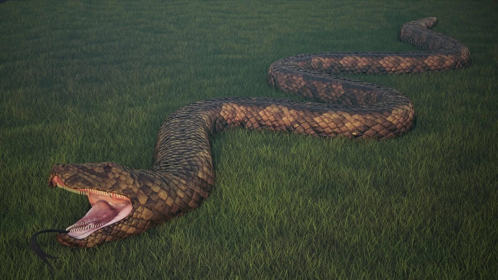 Коричневая анаконда 2024 на русском. Анаконда змея. Река Амазонка змея Анаконда. Самая большая змея в мире Анаконда. ТИТАНОБОА змея и Анаконда.