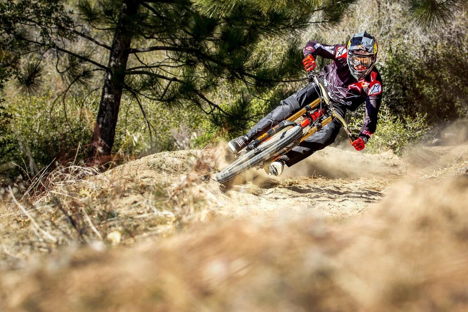 Даунхилл текст ssshhhiittt. Даунхилл райдер. мтб даунхилл. даунхилл downhill. даунхилл ред булл.