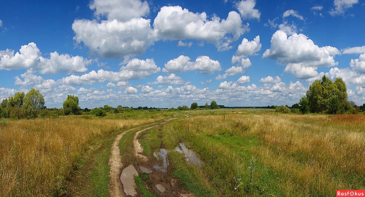 Родные просторы деревня. Просторе деревня. Деревенские просторы. Деревенские просторы реткино. Привольные просторы.