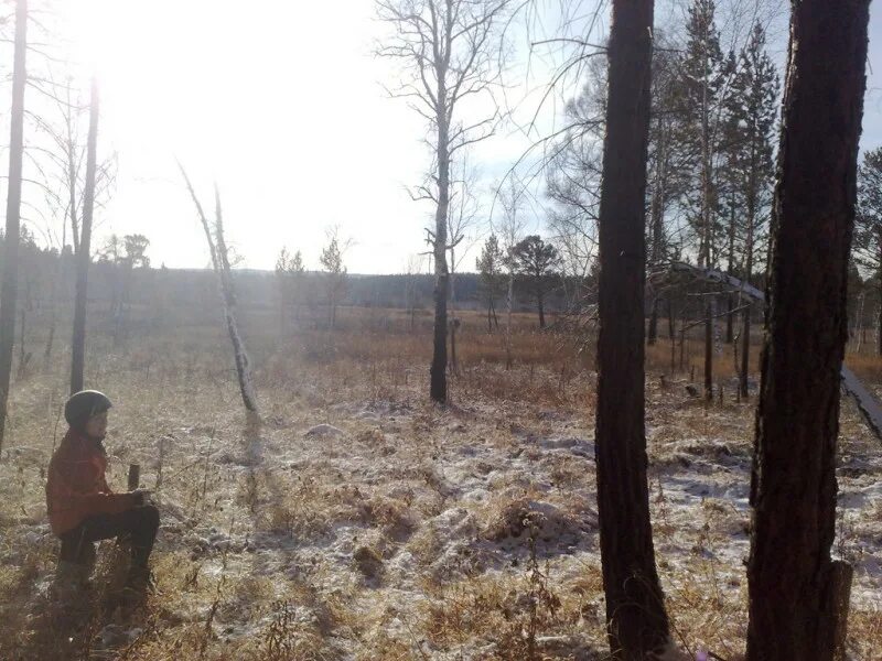 Сельские огни. Кайское болото. Торфяники Кировской области. Лесхоз Поляна Кикнур зимой.