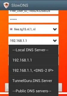 User dns user