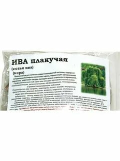Ива белая лечебные свойства