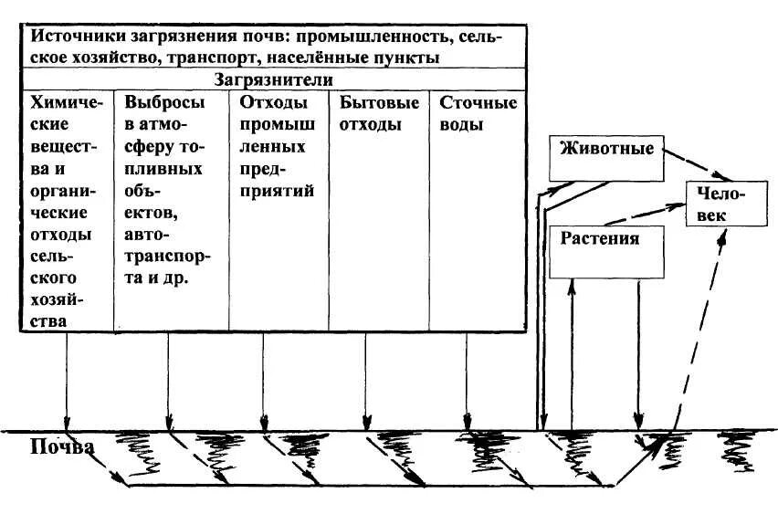 Схема основные загрязнители почвы. Загрязнение почвы схема. Источники загрязнения почвы таблица. Источники загрязнения почвы схема.