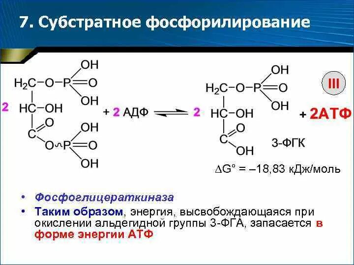 Субстратное атф. Субстратное фосфорилирование АТФ. Реакции субстратного фосфорилирования. Субстратное фосфорилирование биохимия. Субстратное фосфорилирование АДФ.