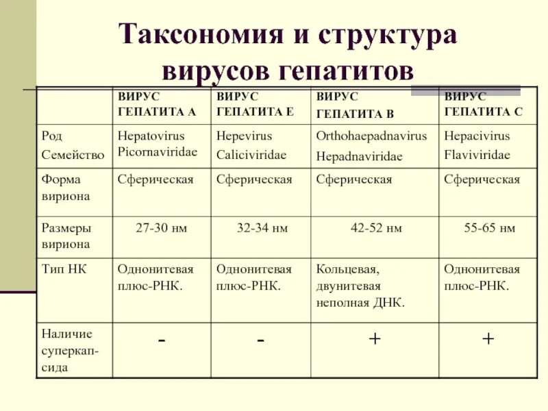 Гепатит количество вирусов. Характеристика вирусов гепатитов. Характеристика вирусов гепатита структура. Вирусные гепатиты сравнительная таблица. Характеристика вирусов гепатитов таблица.