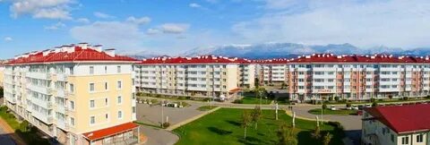 Алеан бархатные