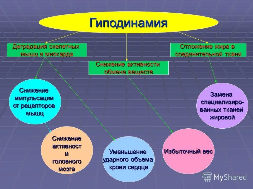 Гиподинамия способствует отложению. Гиподинамия степени. гиподинамия миокарда. причины гиподинамии. гиподинамия способствует отложению жира в запас так как.