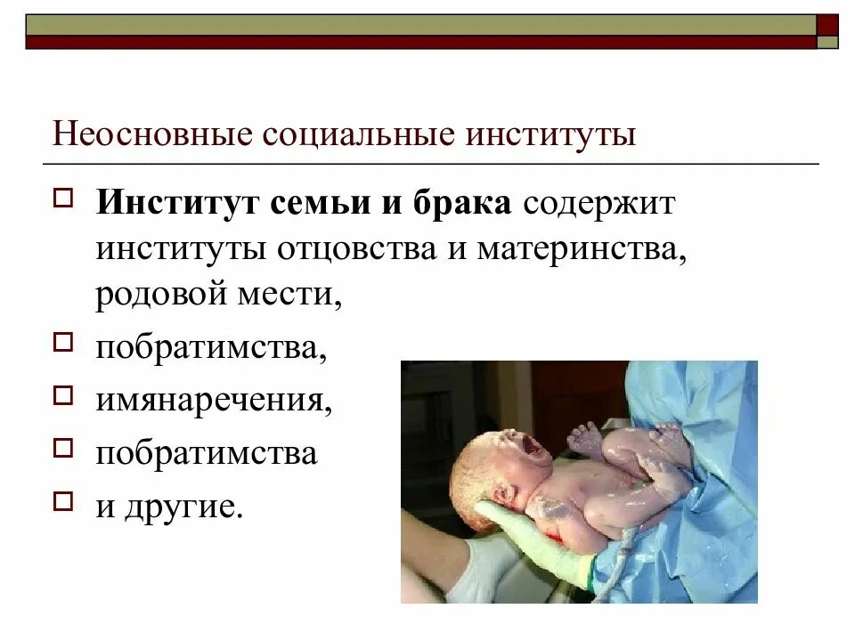 Институт отцовства и материнства