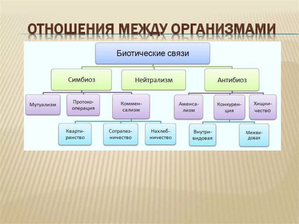 Возможные варианты как можно. Типы взаимодействия между организмами схема. Типы взаимоотношений живых организмов. Типы взаимоотношений организмов схема. Формы взаимодействия между организмами таблица.