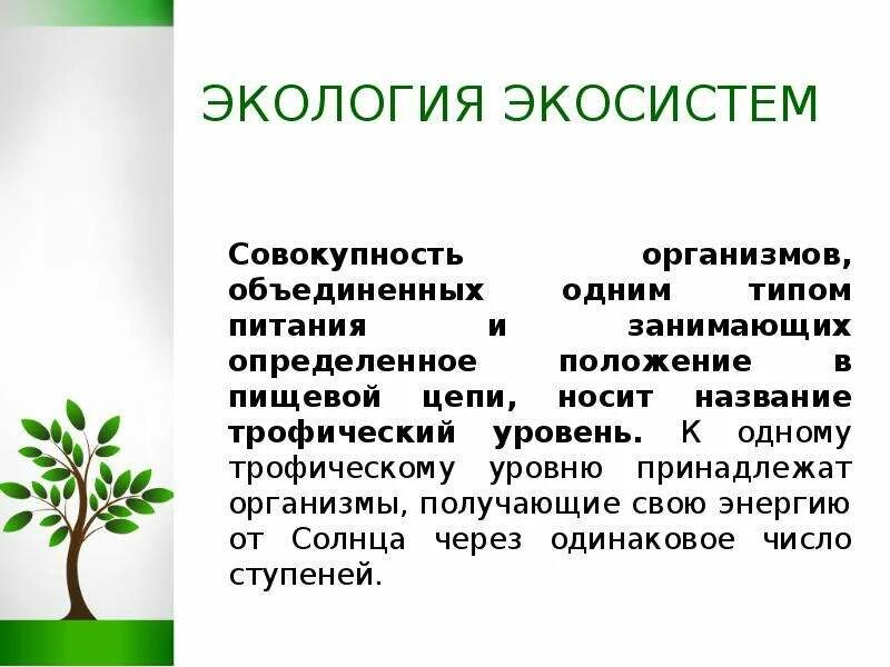 Решение экологических задач по биологии. Решение экологических задач. Экосистема это совокупность организмов. Совокупность организмов типом питания. Совокупность организмов занимающихся опррделеннте положение в цепи.