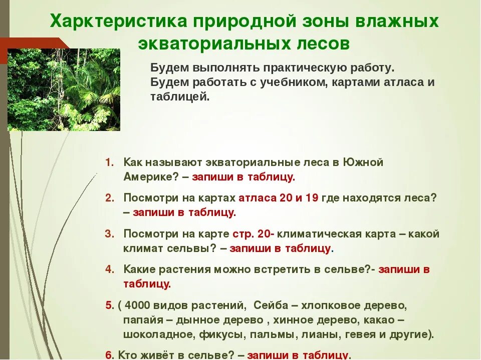 Природная зона влажные экваториальные леса особенности климата. Природные зоны влажных экваториальных лесов. Природная зона влажные экваториальные леса таблица. Зона влажных экваториальных лесов таблица. Влажно экваториальные леса таблица.