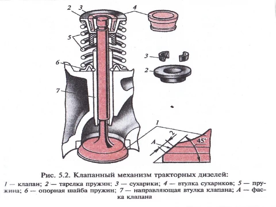 Почему открываются клапана. Клапанный механизм двигателя д 240. Устройство клапана газораспределительного механизма. Чертёж клапанного механизма ДВС. Схема установки впускного клапана двигателя.