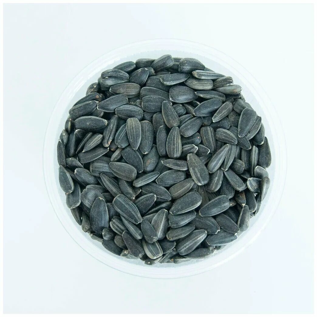 Семена подсолнуха. Семена подсолнечника (sunflower seeds. Семена подсолнечника. Семена подсолнечника. Микрозелень семечки подсолнуха.