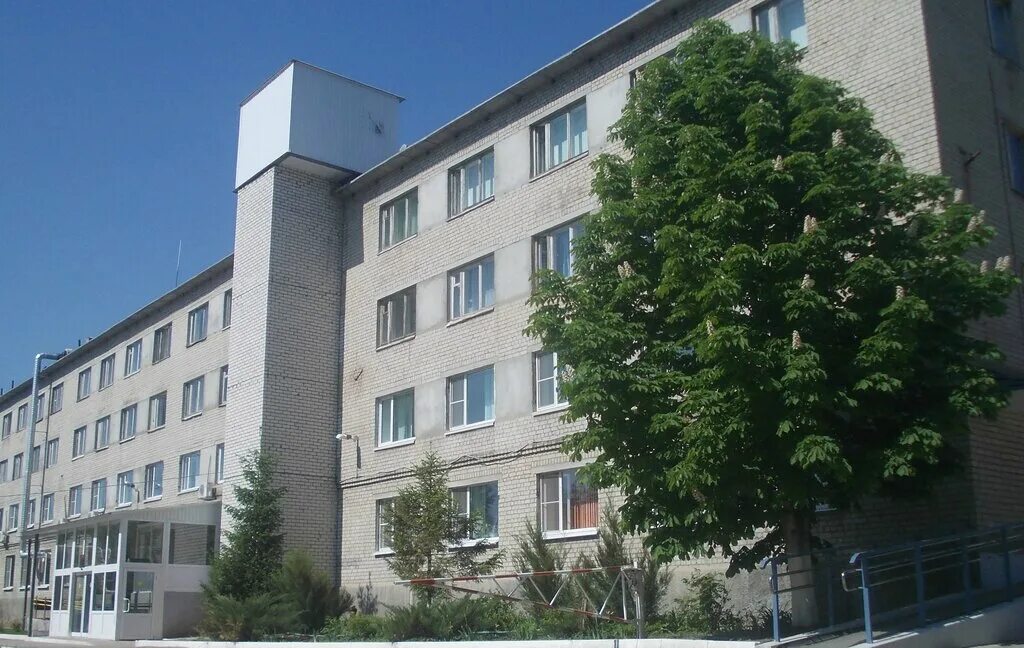 гапоу со скипо для инвалидов и лиц с овз саратов. чернышевского 157 школа интернат. 5 интернат саратов. саратовский дом интернат свадьба 02. саратов школа-интернат 1 директор.