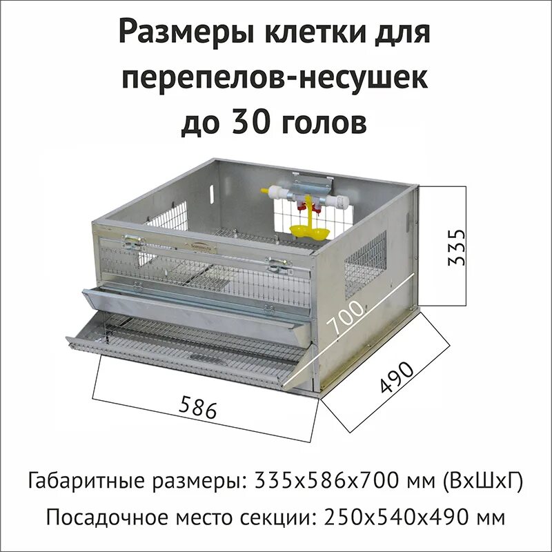 Размер клетки для кур несушек. Клетки для перепелов своими руками Размеры и чертежи. Клетка для перепелов чертеж. Клетка для перепелов Размеры чертеж. Клетка для перепелов несушек.