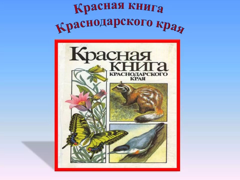 Животные красной книги краснодарского края. Есть черная книга Краснодарского края. Скалолаз красная книга Краснодарского.