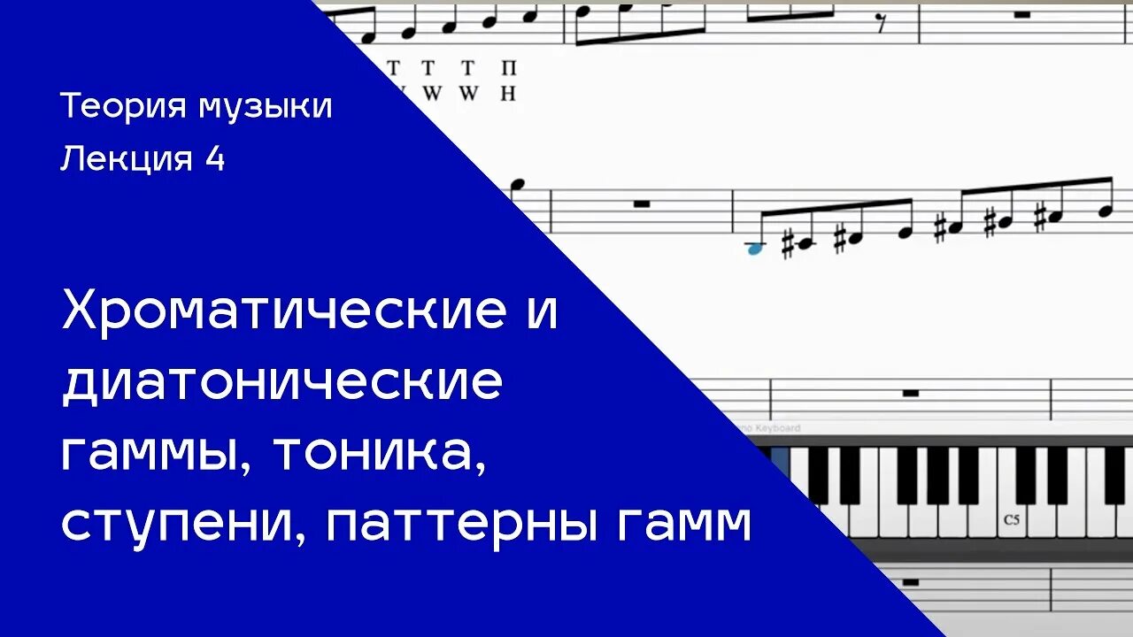 Диатонический и хроматический звукоряд. Обертоновый звукоряд строение. Ступени диатонического звукоряда. Секунды от белых клавиш. Диатоническая гамма ступени.