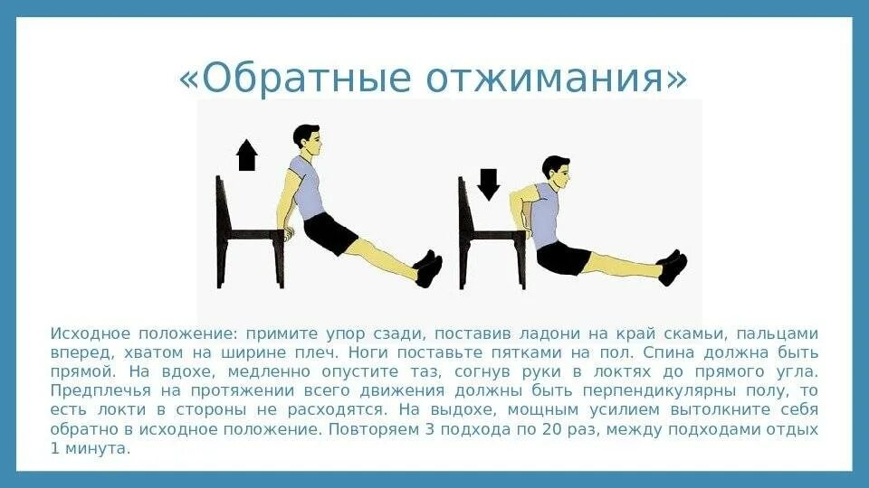 Положение принимаемое. Обратные отжимания. обратные отжимания исходное положение. упражнение обратные отжимания от скамьи. отжимание от стула в упоре сзади.