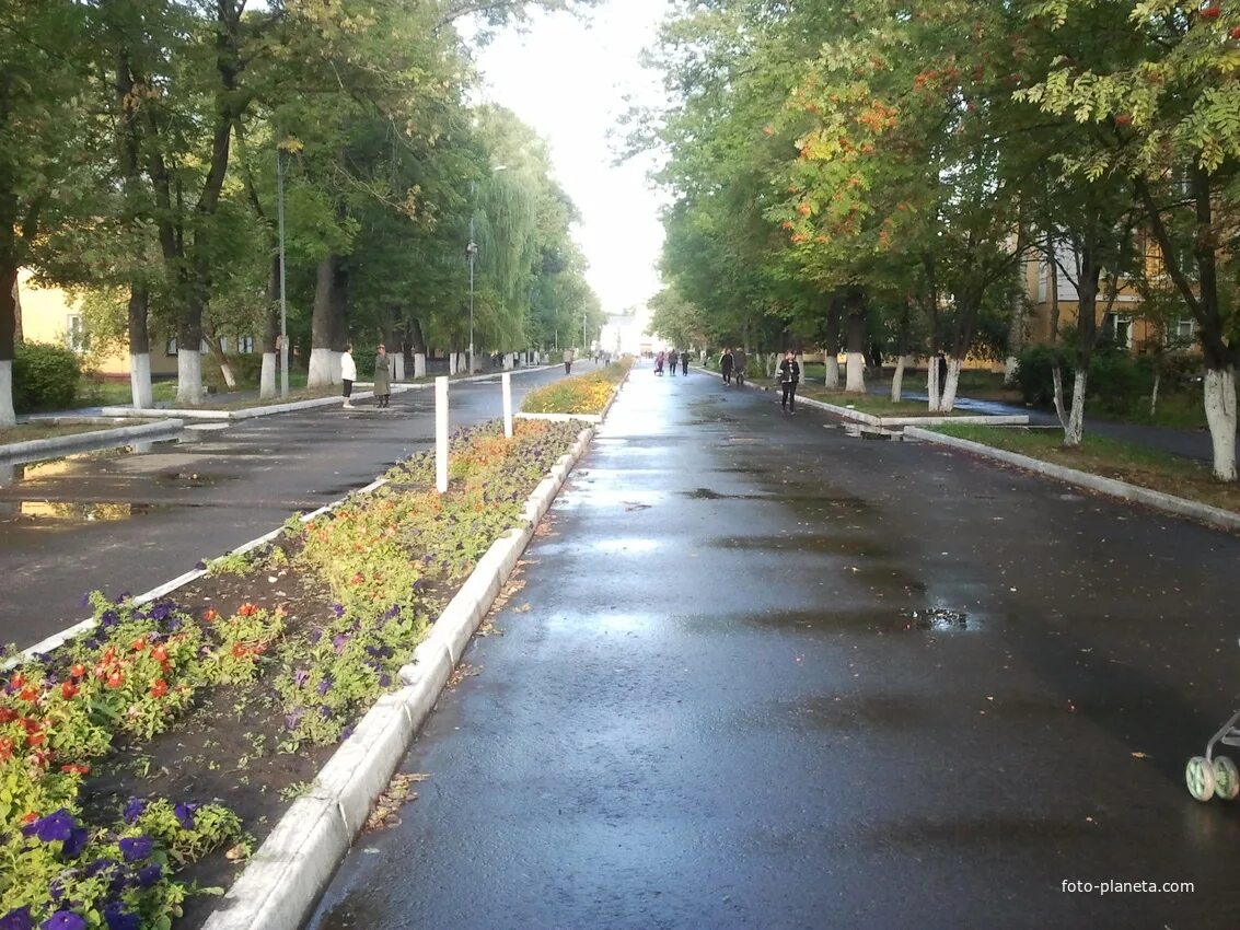 Брянск ул ленина. Белые берега, ул ленина. белые берега брянск улица ленина. белые берега брянск достопримечательности.