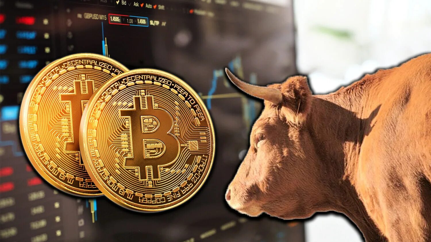 Биткоин два. Биткоин. фото биткоина. бык btc. крипторынок.