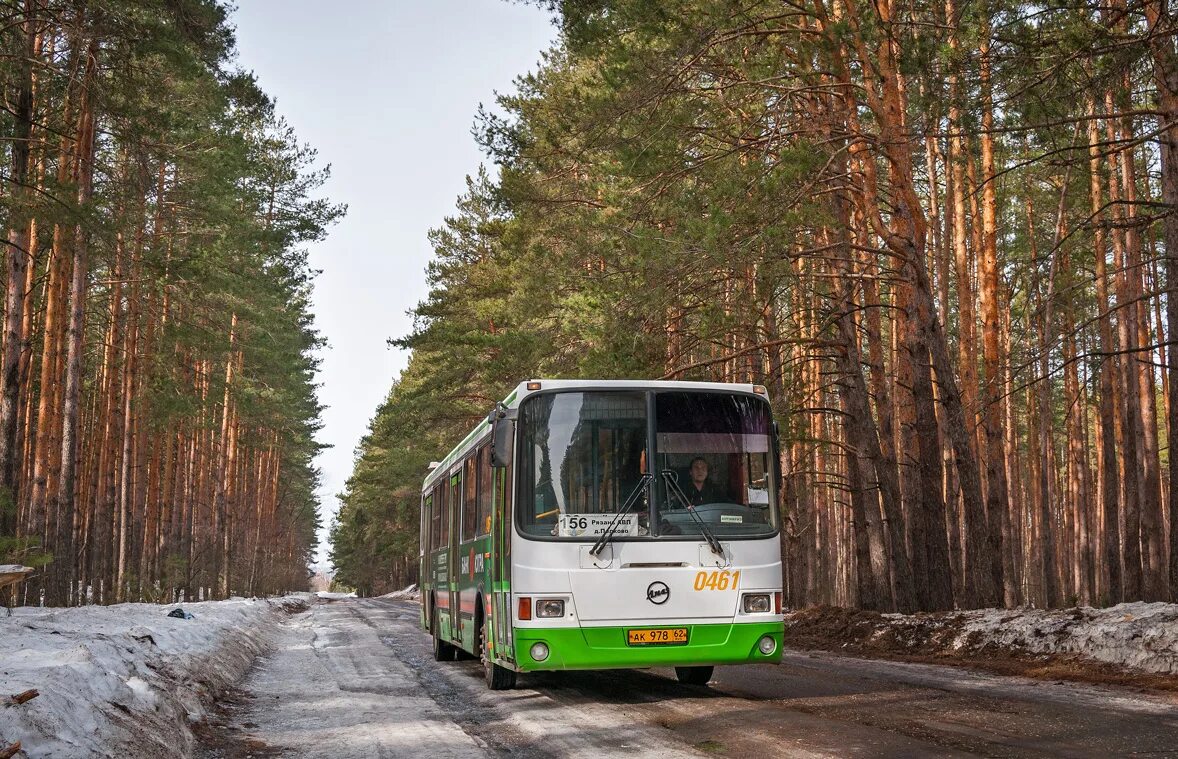 461 автобус пермь. Рязань Солотча автобус. Автобус 22 Солотча. Автобус 461. Автобус маршрут 22 Рязань пос. Солотча.