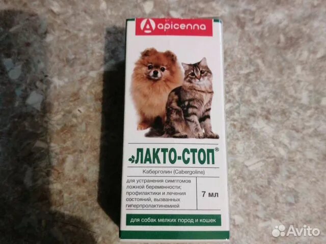 Лактостоп для кошек. Лактостоп для собак. Лекарство Лактостоп для кошек. Каберголин для собак. Лактостоп инструкция для кошек.