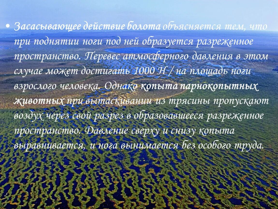 Где находится болотное. Карта Сибири Васюганское болото. Факты о Васюганских болотах. Заповедник Васюганский заповедник. Васюганское болото интересные факты.