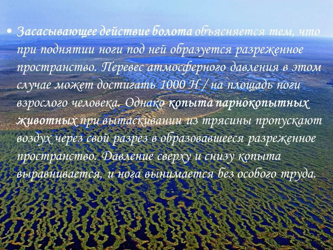 Самый большой рассказ в мире. Карта Сибири Васюганское болото. Факты о Васюганских болотах. Заповедник Васюганский заповедник. Васюганское болото интересные факты.