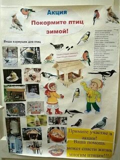 Как помочь птицам зимой стенгазета шаблоны 2