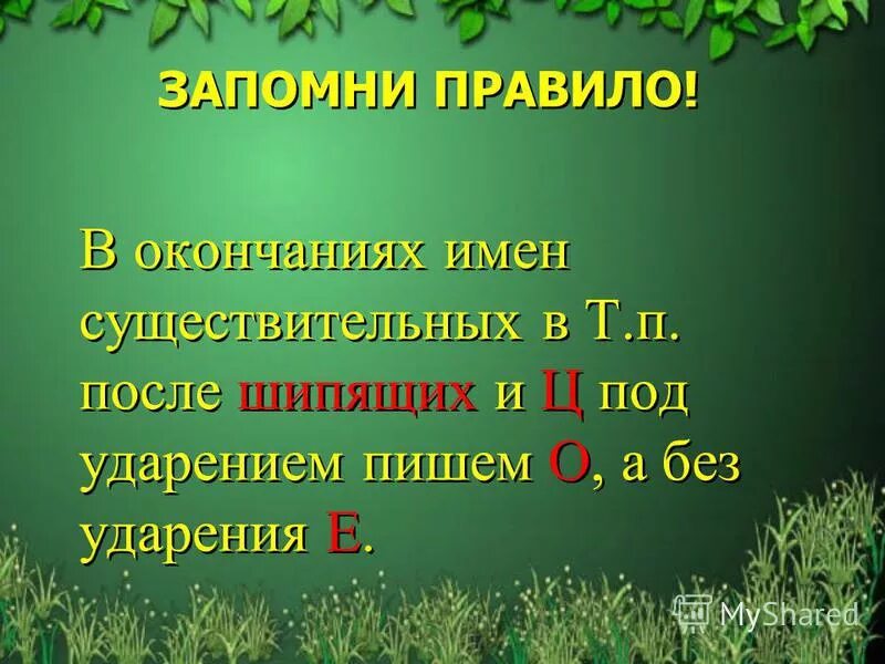 Ь после шипящих в существительных множественного числа. Мелиорация болот. Нарушения и последствия после приёма наркотиков. И т п после. Ь знак на конце существительных после шипящих.