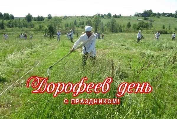 Дорофеев день. Дорофеев день народный праздник. Дорофеев день 18. Дорофеев день 18 июня открытки.