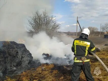 Пожары 10 года
