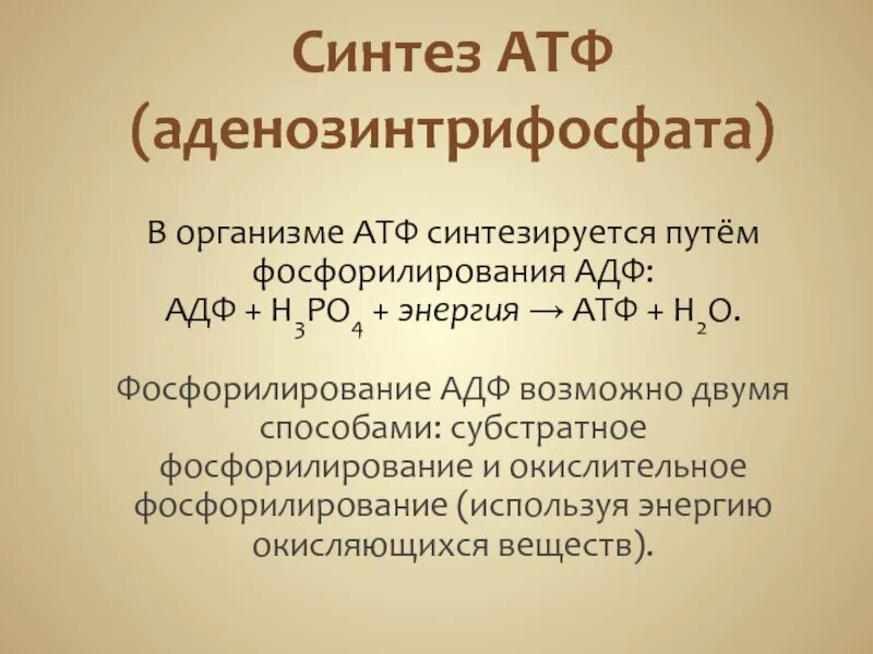 Субстратное фосфорилирование атф. Фосфорилирование АДФ. Способы фосфорилирования АДФ. Субстратное фосфорилирование АДФ. Аденозинтрифосфат Синтез.