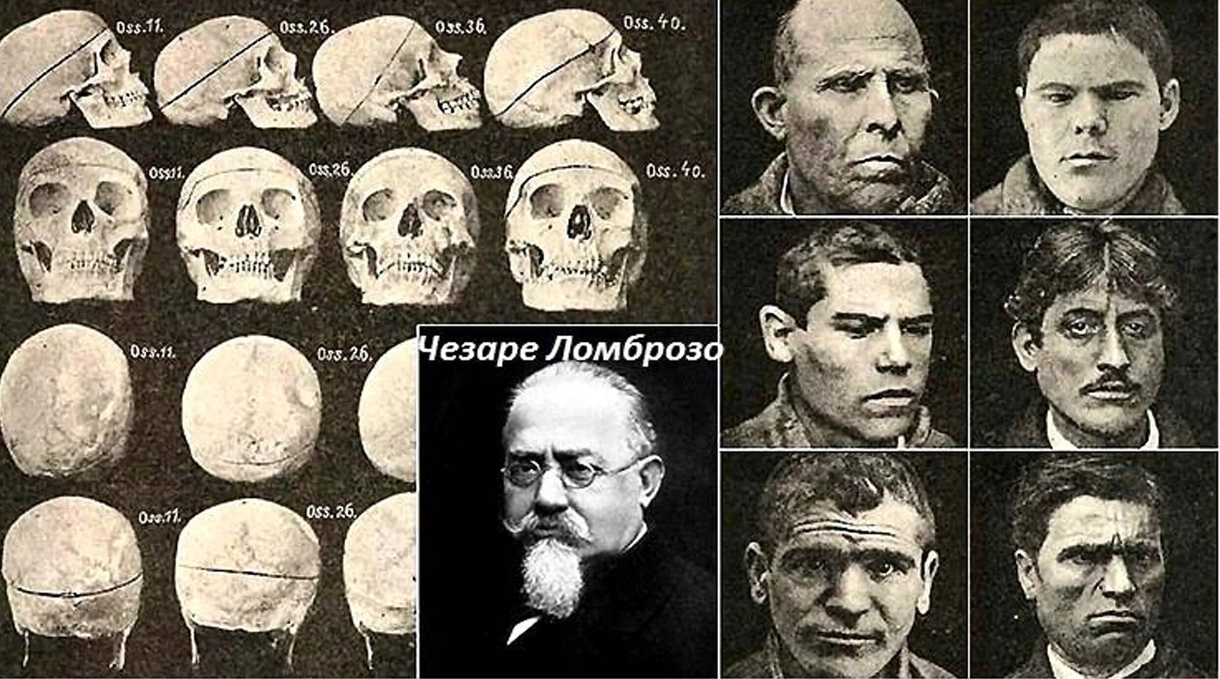 Тест по теории чезаре. Чезаре Ломброзо теория. Антропологическая теория Ломброзо. Чезаре Ломброзо теория прирожденного преступника. Чезаре Ломброзо физиогномика.