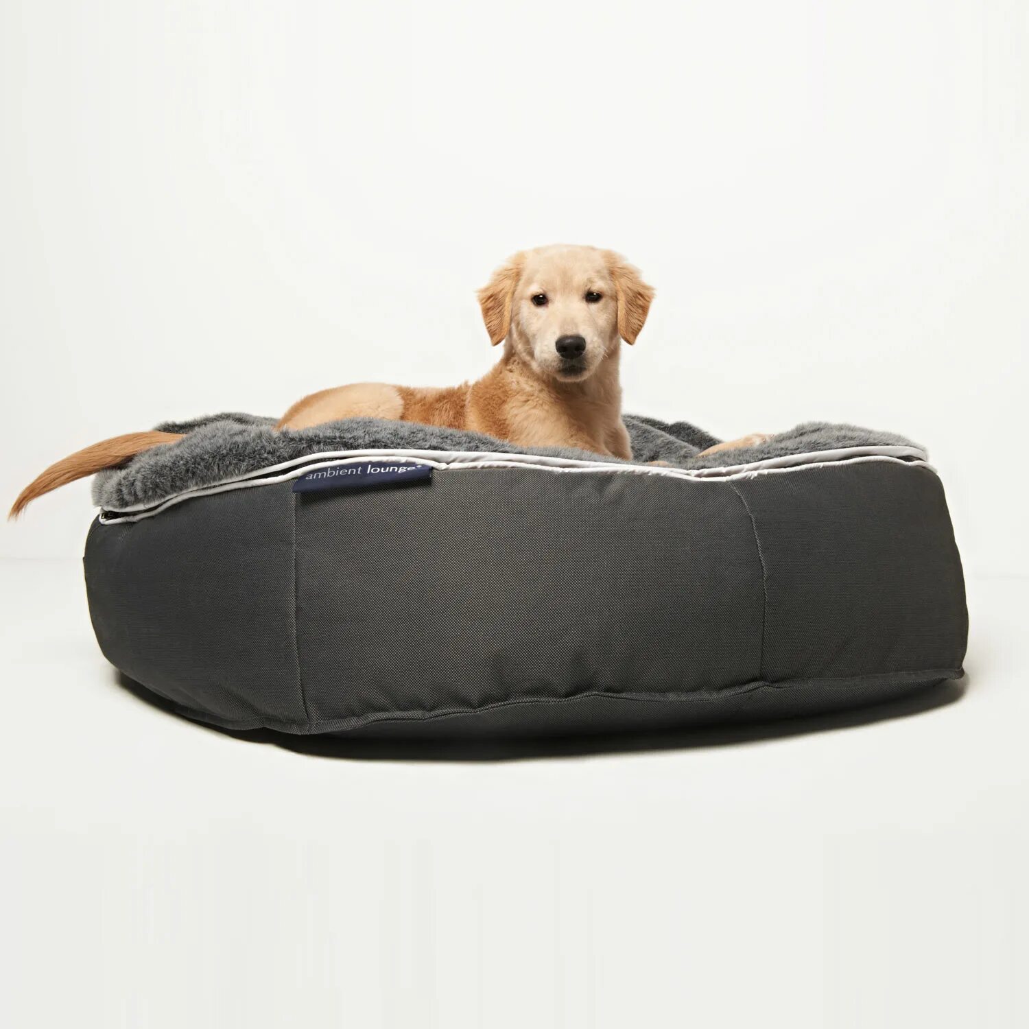 Ambient Lounge лежак для собаки. Лежанка Nunbell 267369. Лежанка для собак Pet Lounge. Лежанка для человека с матрасом. Лежанка pets