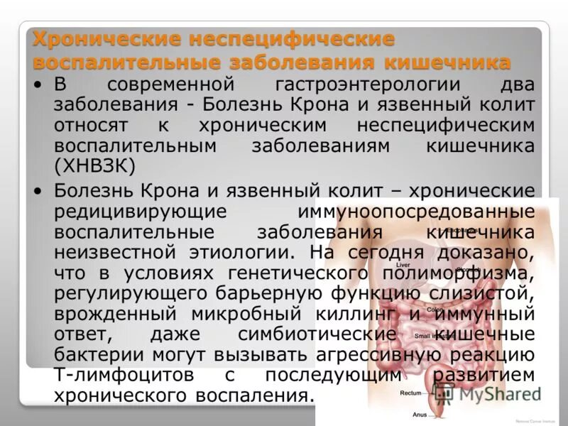 Хронические воспалительные заболевания кишечника. Хронические инфекции кишечника. Заболевания органов желудочно-кишечного тракта. Хронические заболевания кишечника. Лекарства при энтерите у взрослых.