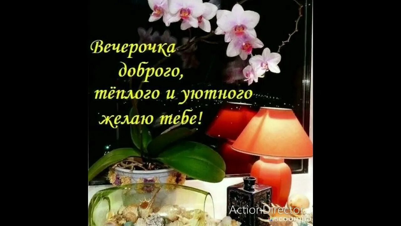 Открытка добрый вечер со смыслом. Хорошего вечера и настроения. красивые поздравления с добрым вечером. открытки приятного вечера.