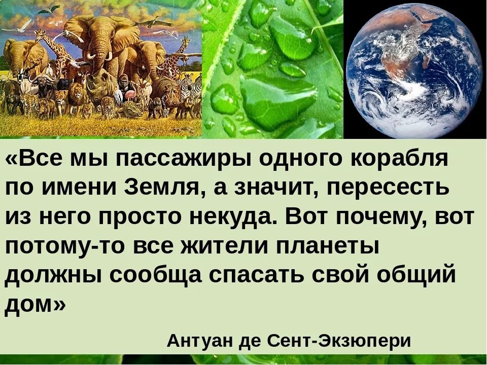 Живем на планете по имени земля песня. Цитаты по биологии. Афоризмы по биологии. Цитаты про биологию. Изречения о биологии.