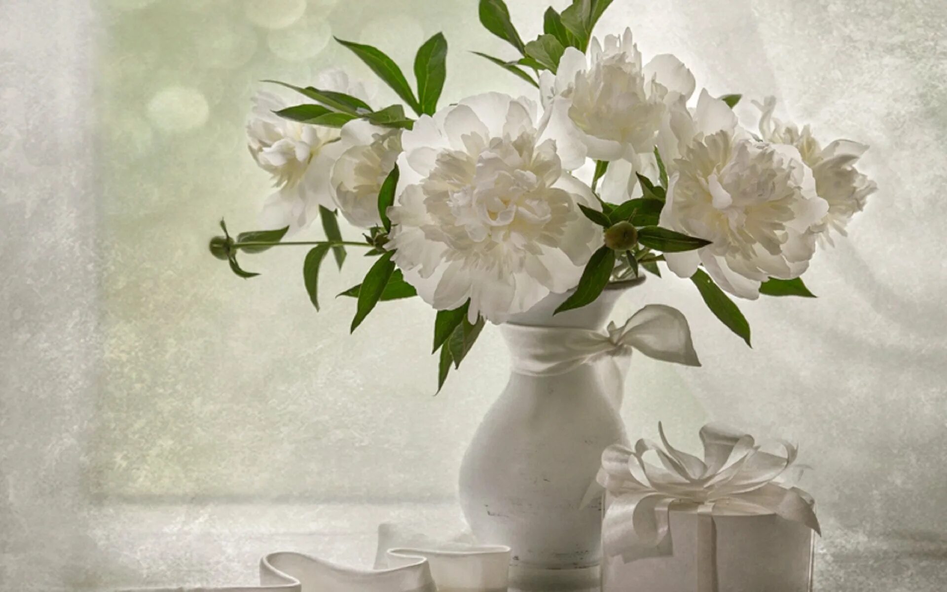 алина ланкина пионы. алина ланкина фотонатюрморты. натюрморт в светлых тонах. цветы на сером фоне. натюрморт в светлых тонах.