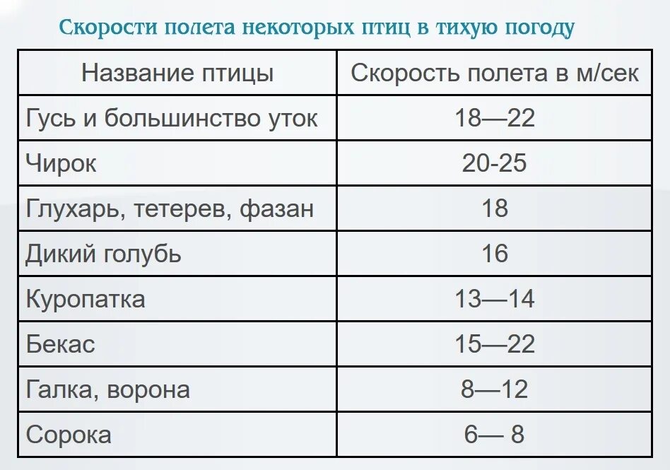 Скорость полета гуся. Скорость полета птиц. Скорость птиц таблица. Скорость полёта птиц таблица. Максимальная скорость полета птицы.