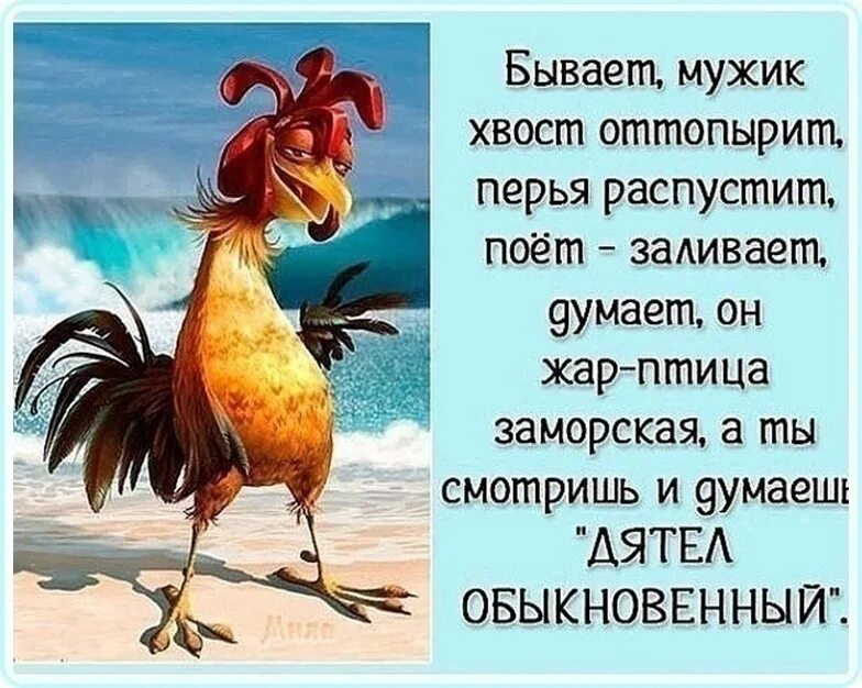 Анекдоты про птиц. Под павлиньим хвостом. Это ты сегодня в 5 утра кукарекал. Почему бывает жар