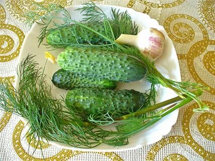 Огурец деревенский