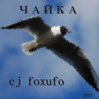 Синюю чайку