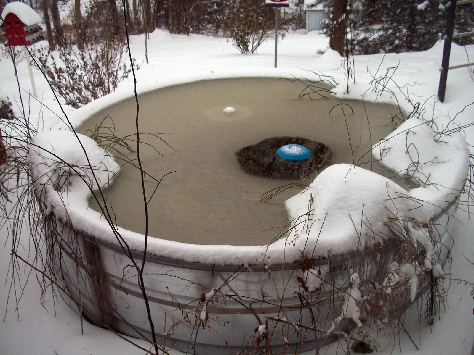 Растения водоемов зимой. Пруд зимой для рыб. Пруд для карпов кои с зимовкой. Дачный пруд зимой. Декоративный водоем зимой.