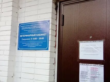 Ветеринарный петрозаводск