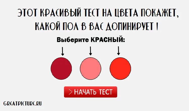Тест на симпатичного человека. Красивый тест. тест какой цвет преобладает. красный тест. доминирующий цвет это какой.