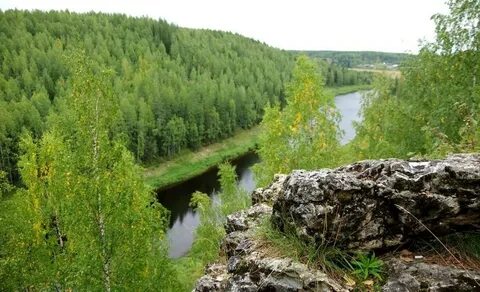 Коми вологодская область